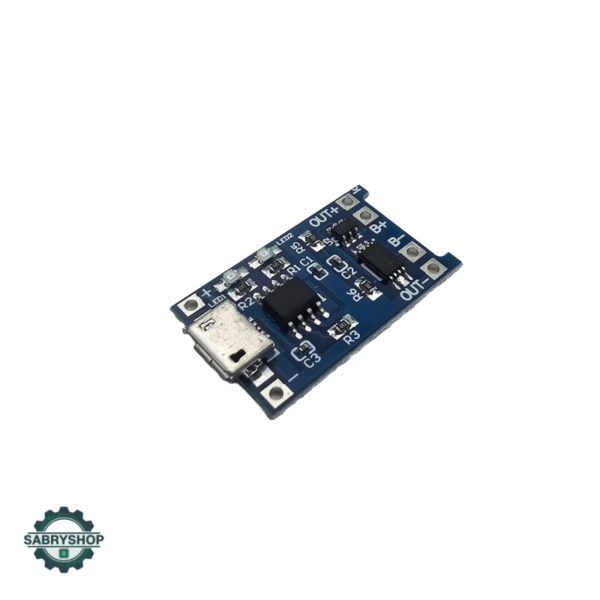 S1 BMS Module