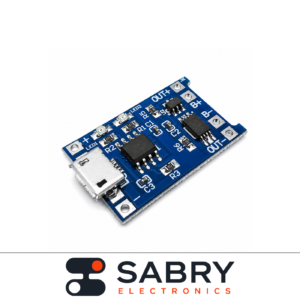 S1 BMS Module